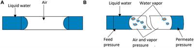 Modeling pore wetting in direct contact membrane distillation—effect of interfacial capillary pressure